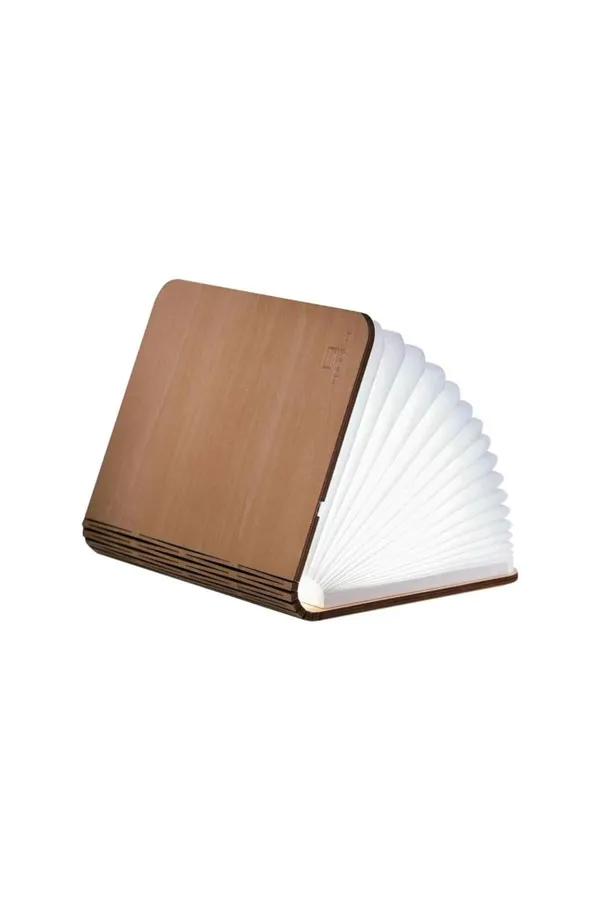 Gingko SMART BOOK LIGHT